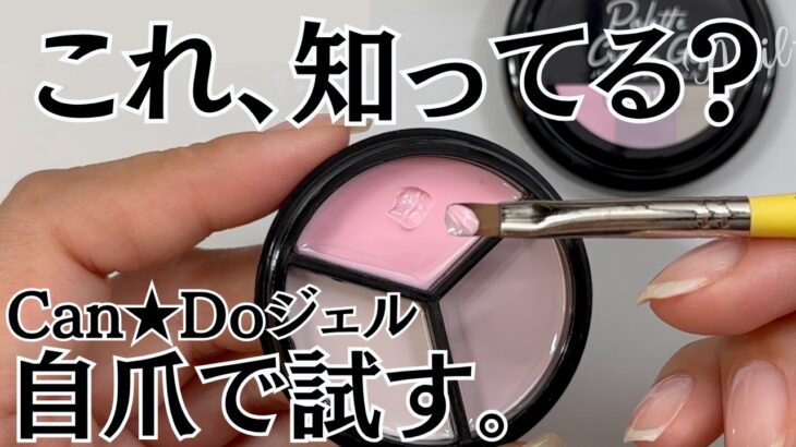 【新商品♡】キャンドゥジェルネイル パレットクリームジェルをレビュー♪ #パレットジェルネイル #100均ネイル #キャンドゥジェルネイル