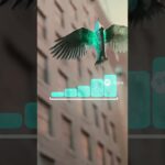 未来を感じる！AIが生み出す抽象アートの世界
