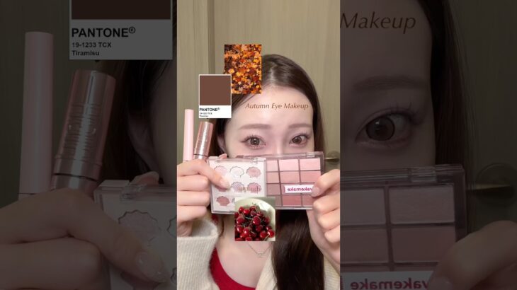 目の大きさ２倍👀韓国コスメでナチュラルに盛る秋メイク🍂🤎#韓国コスメ #韓国