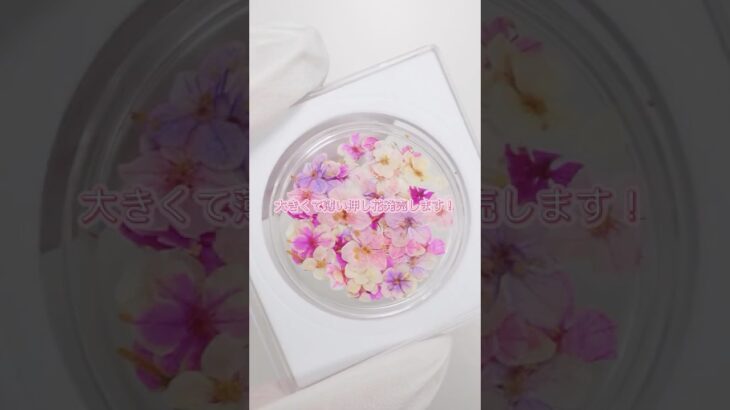 \ 最大9mm!?の大きめ押し花が登場🌸 /#shorts
