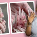 Claw Nails??? Trying TikTok Nail Art