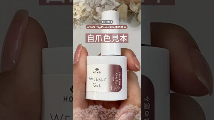 【自爪色見本♡】HOMEIウィークリージェル秋の新色！WF65 Fig Paste無花果の恵みを塗ってみた♪ #セルフジェルネイル #ウィークリージェル #homei