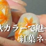 【How to】手描き紅葉で魅せる🍁大人の透けデザイン｜上品カラーのもみじネイル💅