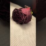 🌸 Virágos körömdíszítés Polygellel – Diamond Nails Polygel 13 lépésről lépésre 💅✨