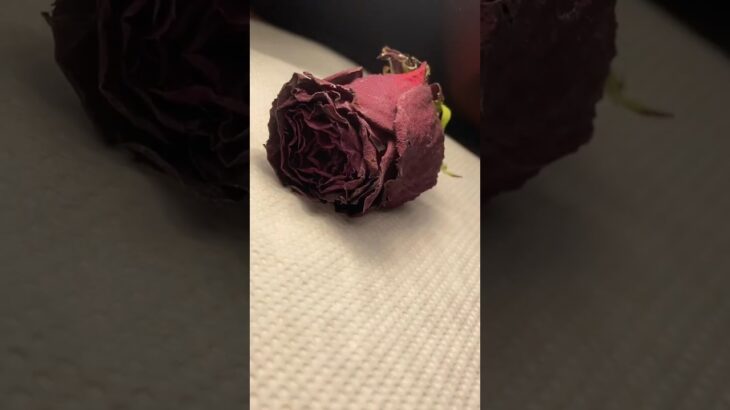 🌸 Virágos körömdíszítés Polygellel – Diamond Nails Polygel 13 lépésről lépésre 💅✨