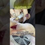 渋谷で15年　ネイルサロンNAILSGOGOが続いてきた訳　#shorts