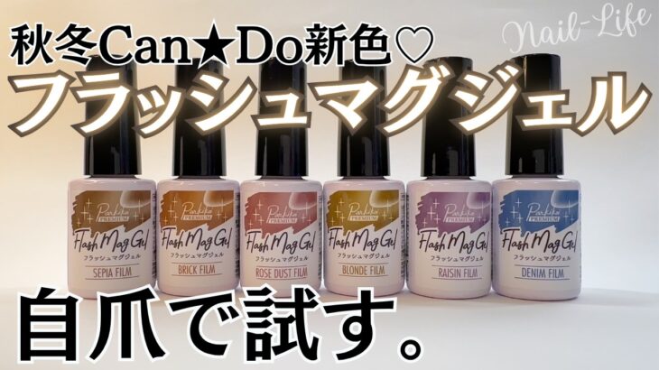 【キャンドゥ新色♡】フラッシュマグネットジェルの自爪レビュー！フィルムシリーズが良き♪ #マグネットネイル #100均ネイル #キャンドゥジェルネイル