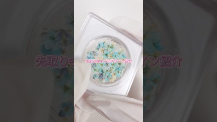 少し早めの冬向け押し花デザイン提案#shorts