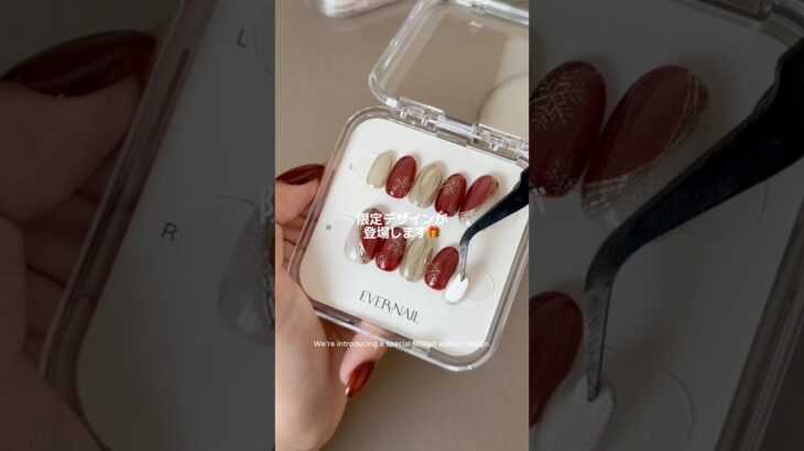 大好評のホリデー限定デザインが今年も登場します🎄⛄️しかも6種も…！？🎅#ネイルチップ #ジェルネイル #セルフネイル #冬ネイル #クリスマスネイル #pressonnails