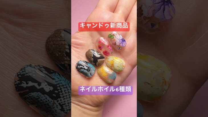 【新商品】キャンドゥのネイルホイル6種一気に紹介