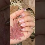 🤎Leopard French for Fall🐆