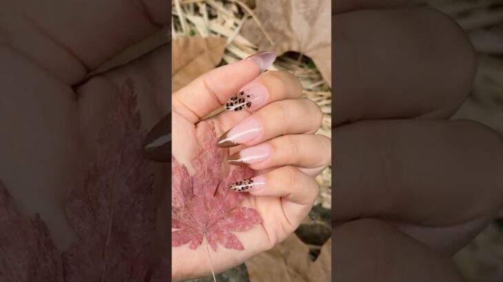 🤎Leopard French for Fall🐆