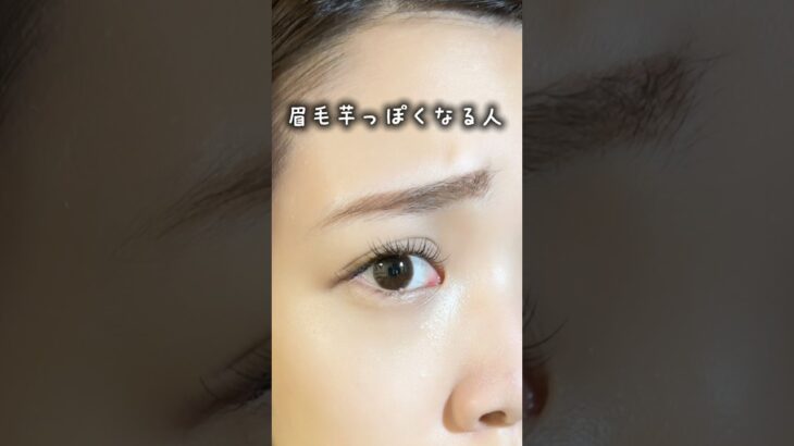 .眉毛芋っぽくなる人は…これ参考にしてみて！　#眉毛の書き方#アイブロウ#アイブロウペンシル#アイブロウパウダー#眉マスカラ#メイク裏技#コスメ#コスメレポ #最新コスメ #おすすめコスメ