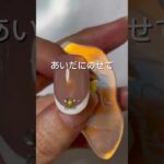 【ネイルチップアカデミー】 #nailart #ネイルチップ #nails #ネイルチップ アカデミー#ネイルデザイン #ネイルチップ作家