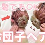 【短い髪のお団子】３分で完成！お団子ヘアアレンジ