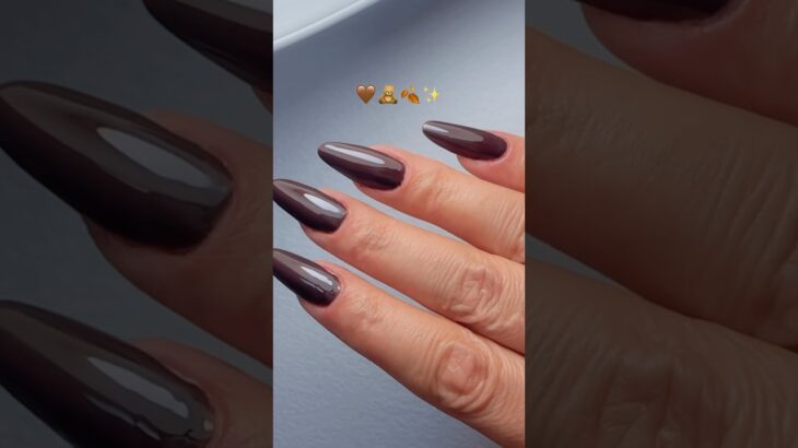 UNHA CLÁSSICA ESSA COR NÃO DECEPCIONA NUNCA😍🤎🧸🍂✨