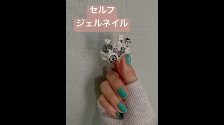 セルフジェルネイル#ネイル #セルフジェルネイル #ネイルデザイン #リサラーソン