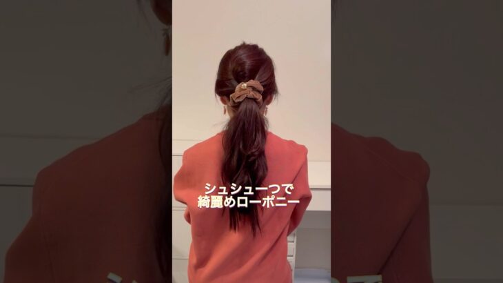 シュシュ一つで簡単綺麗めローポニー。#ヘアアレンジ #簡単ヘアアレンジ #まとめ髪 #ロングヘア #hairstyle #hairstyles #updo #lowbunupdo