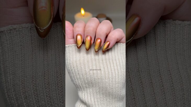 Autumn Cat Eye Nails