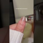 The Night Before the Festival