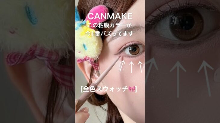 CANMAKEで今1番バズってる粘膜ラインがコレ❕[全色スウォッチあり]