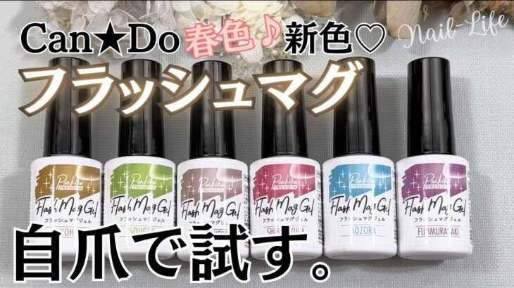 【花高原カラー♡】キャンドゥフラッシュマグネットジェル新色全６色の自爪レビュー！ #マグネットネイル #100均ネイル #キャンドゥジェルネイル