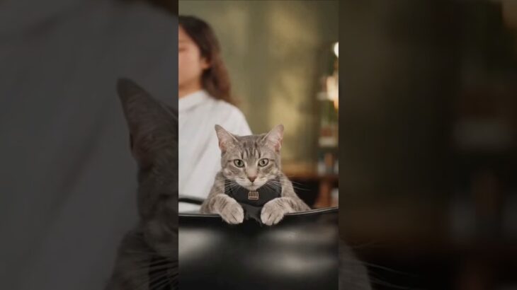 ナチュラルメイク、結局みんな盛ってる説