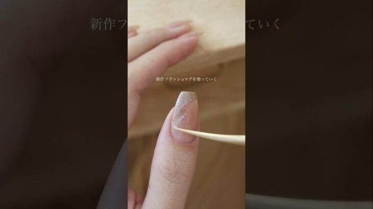 新作フラマグでクロスフレンチ🪄🩰 PR Nailtown #セルフネイル #マグネットネイル