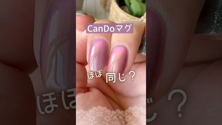 【ほぼ同じ⁈】新色キャンドゥマグネットジェル蘇芳とピンクパープルの色比較！ #キャンドゥジェルネイル #100均ネイル #マグネットネイル