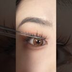 つけまつげ ナチュラル 5ペア 人気 透明軸 芯が柔らか 超軽量 柔らかく 手作り 女優まつげ コスプレメイク つけまつげ M2