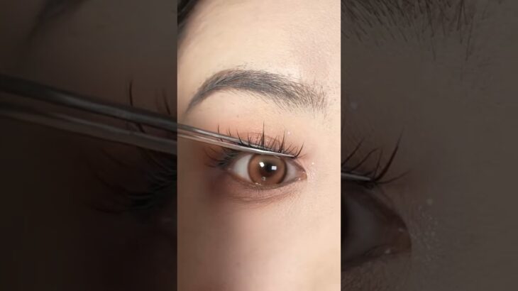 つけまつげ ナチュラル 5ペア 人気 透明軸 芯が柔らか 超軽量 柔らかく 手作り 女優まつげ コスプレメイク つけまつげ M2