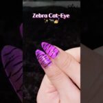 🦓Zebra Cateye Nail Design✨ #solwink #cateyegel #poligel #nailart #nails