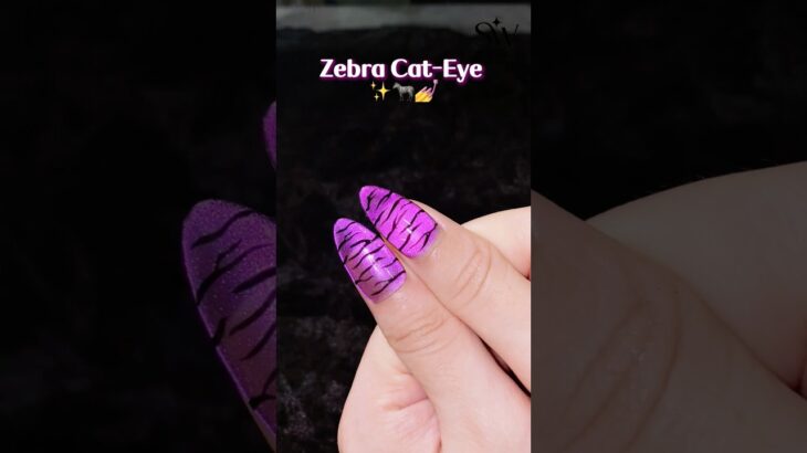 🦓Zebra Cateye Nail Design✨ #solwink #cateyegel #poligel #nailart #nails