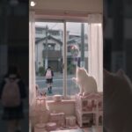 【毎日メイク】学校の日はこれ！ナチュラルで可愛いスクールメイク＆JKの朝ルーティン🌸