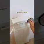 トイレ掃除、便器だけで終わってない？先に拭くべき5か所！#雨の日のまとめ髪 #梅雨ヘアアレンジ #髪の広がり対策